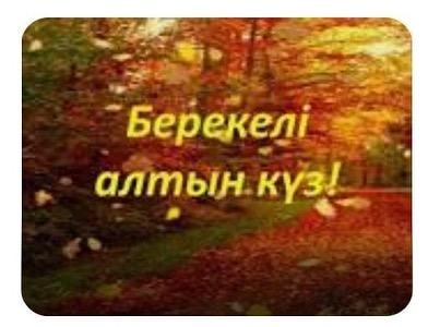 «Берекелі-алтын күз» атты шығармашылық көрме өтті